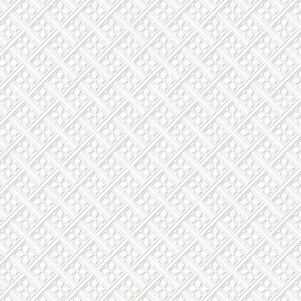 WALLPAPER MR. JONES EMBOSSED WITH THE POSSIBILITY OF PAINTING