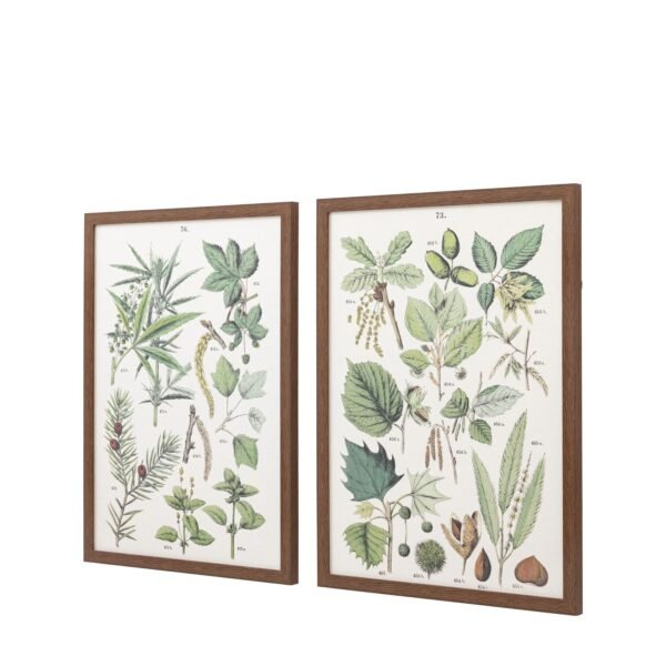 Set of framed paintings Foliage Study green