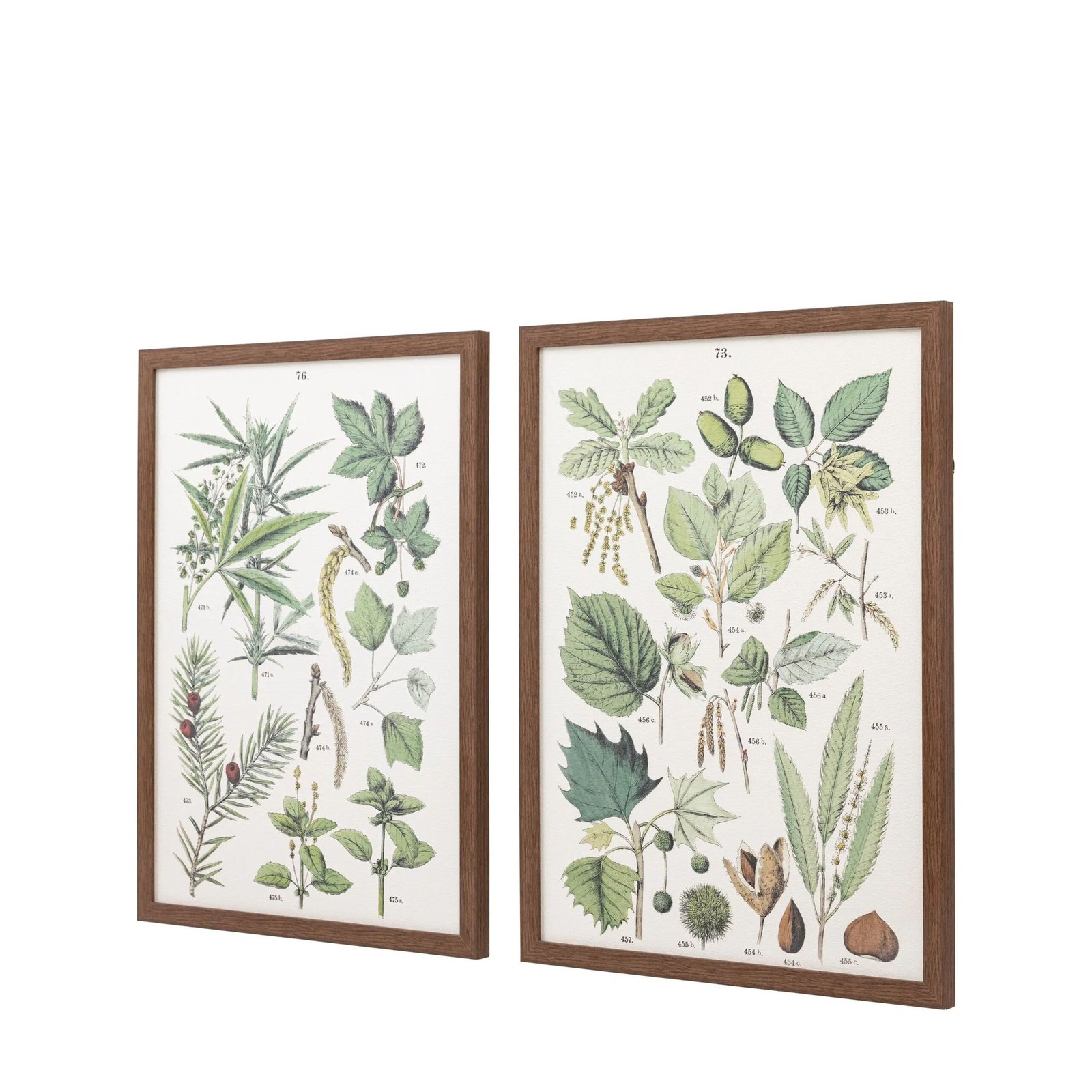 set-de-cuadros-enmarcados-foliage-study-verde (1)