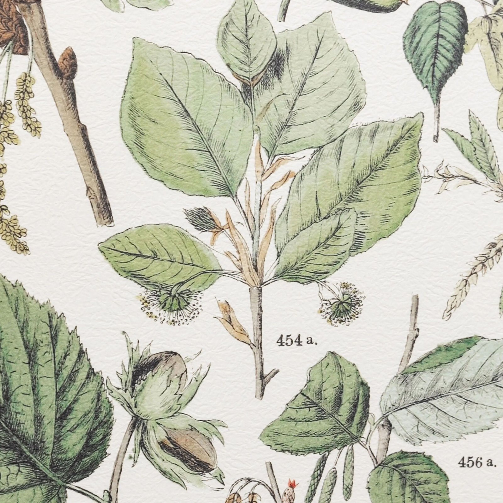 set-de-cuadros-enmarcados-foliage-study-verde (2)