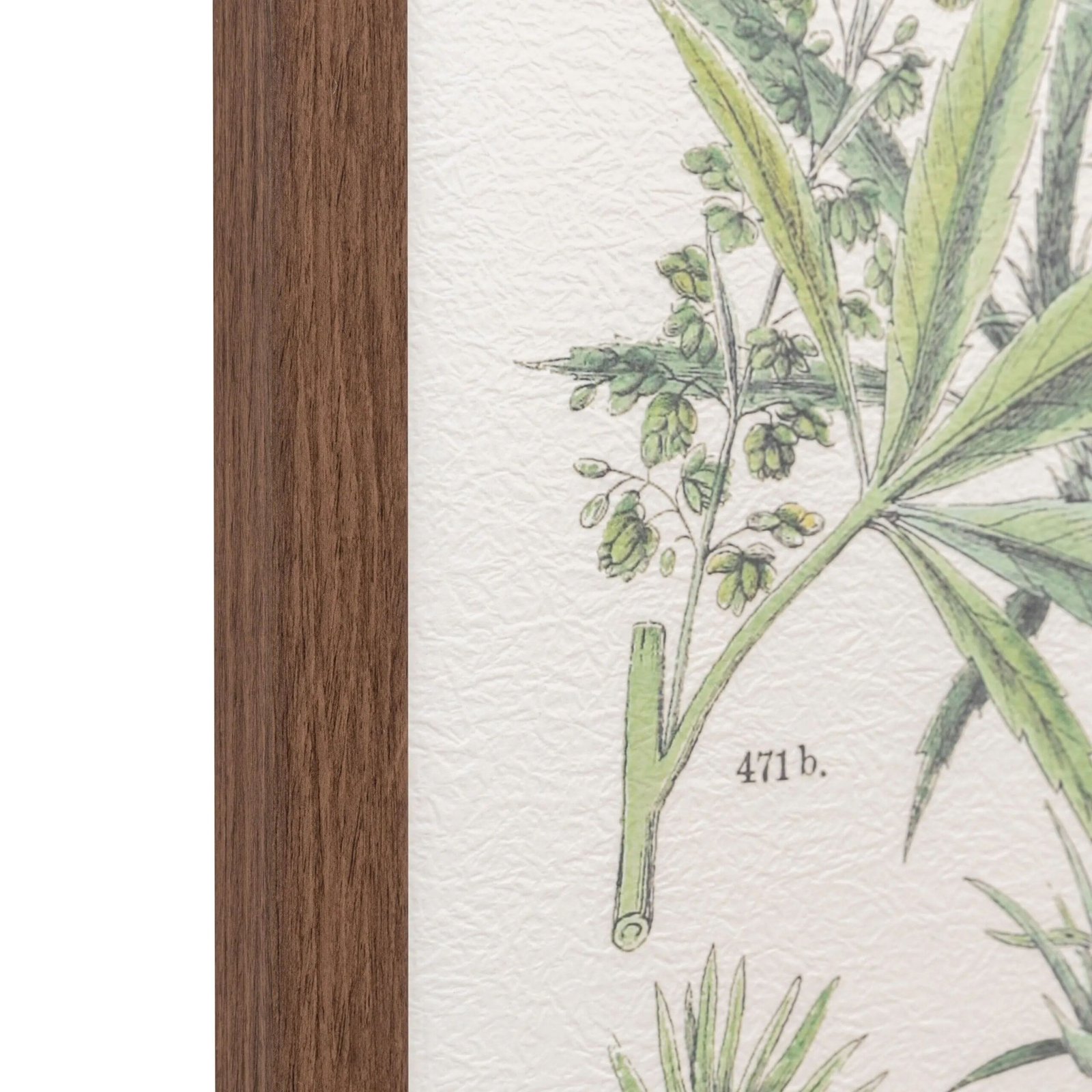 set-de-cuadros-enmarcados-foliage-study-verde (3)