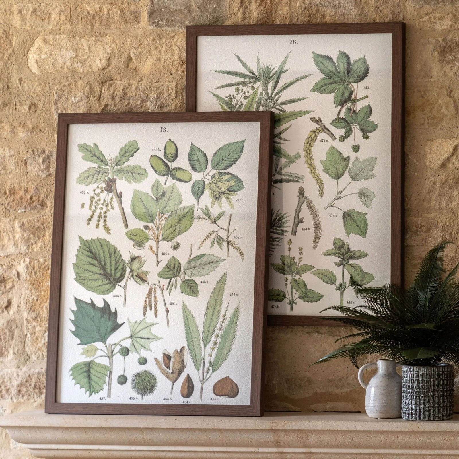 set-de-cuadros-enmarcados-foliage-study-verde